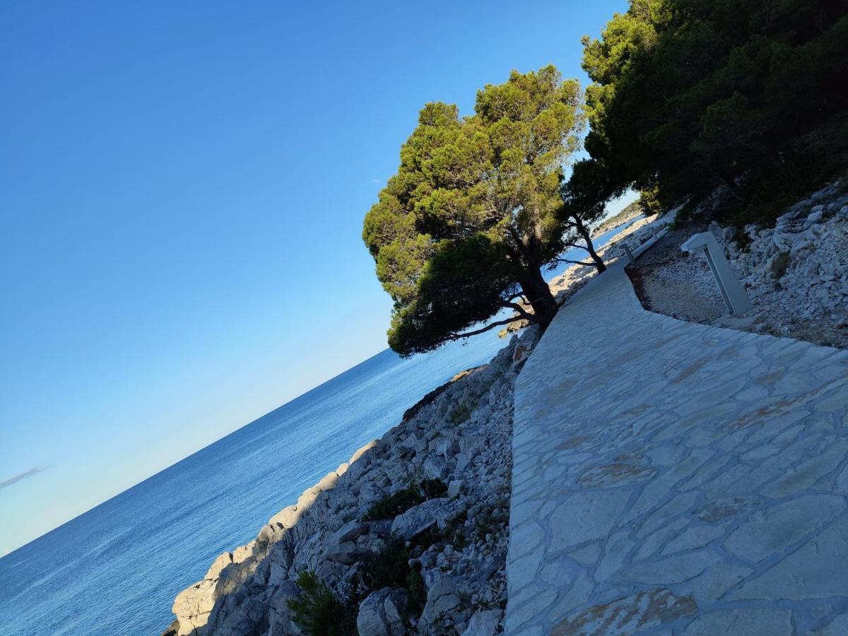 Galeb Apartment
