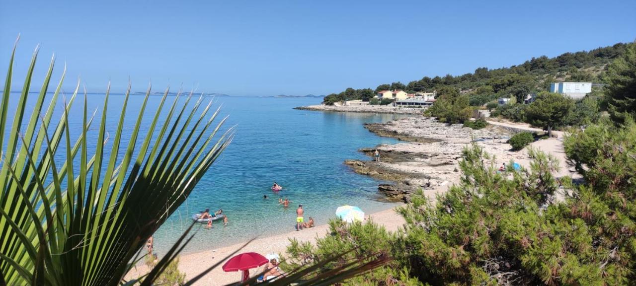 Galeb