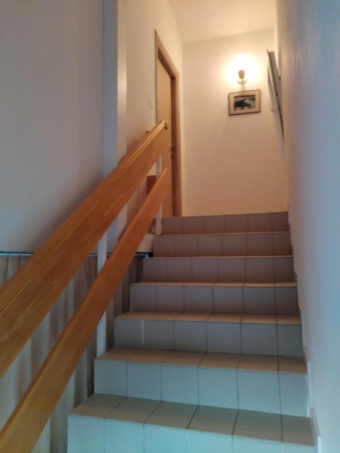 Galeb Apartment *